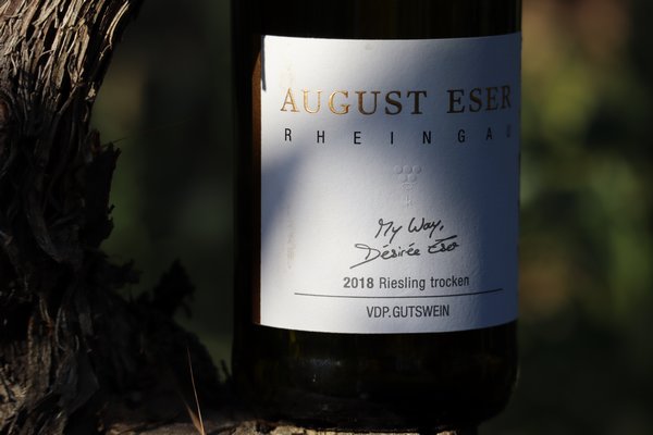 Riesling im Sommer