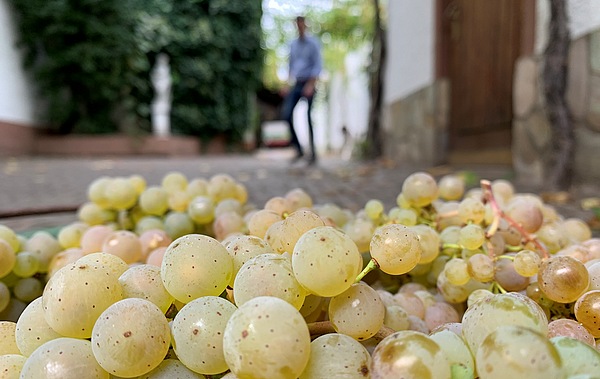 Herzlich willkommen Zuhause