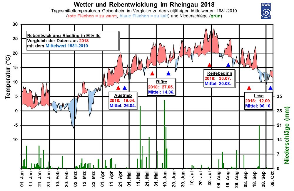 Regierungs Präsidium