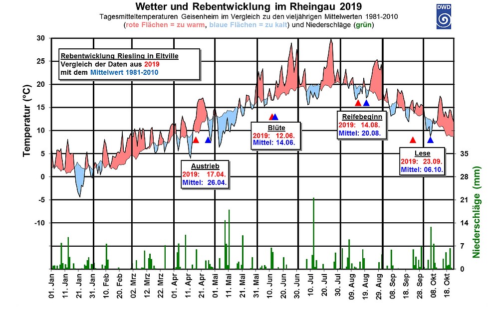 Wetterdaten 2019