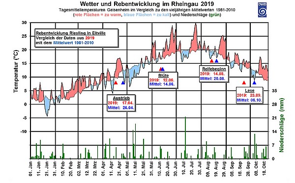 Wetter Entwicklung