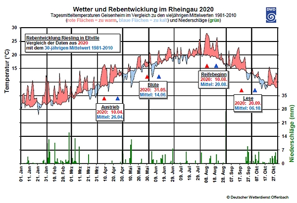 Wetter Entwicklung