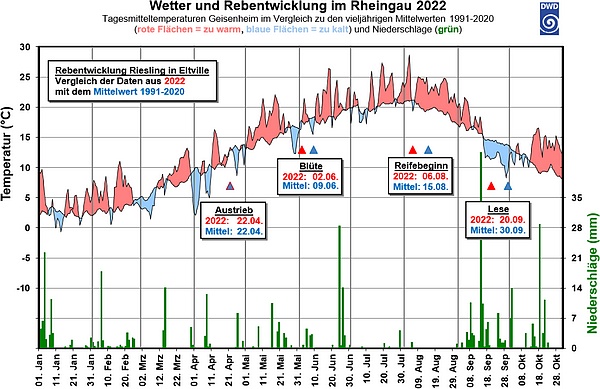 Wetter Entwicklung