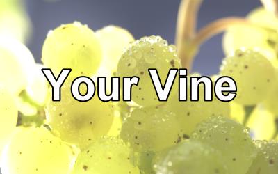 Your Vine