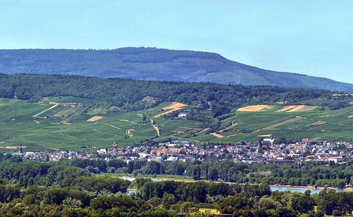 Rüdesheim am Rhein